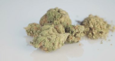 Beyaz yansıtıcı nackground üzerinde tıbbi esrar makro çekim