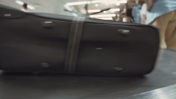 Αποσκευών σε ένα μεταφορέα στο αεροδρόμιο — Αρχείο Βίντεο