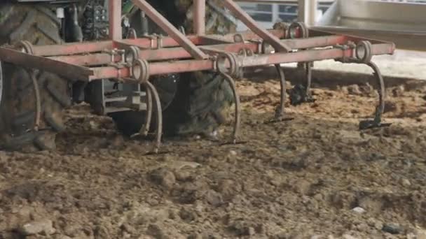 Trator arar estrume em um galpão de fazenda de laticínios — Vídeo de Stock