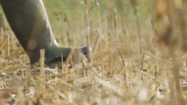 一个穿着高跟鞋穿过湿地和泥泞的男人的慢动作 — 图库视频影像