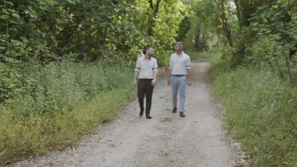 Egy meleg pár együtt sétál az erdőben, kéz a kézben. — Stock videók