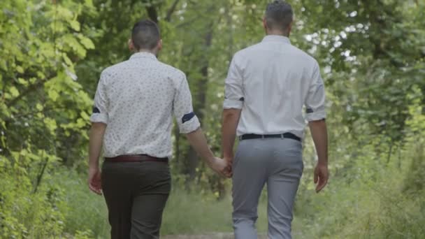 Gay couple walking together in a forest holding hands — Stockvideo
