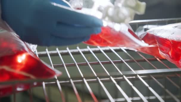 Plastic bags full of red liquid inside a pharmaceutical manufacturing clean room — Stock Video