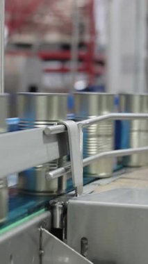 Konserve gıda üretim tesisinde hızlı bir taşıyıcı banttaki domates sosu kutuları.