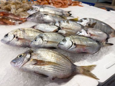 Pazarda buzda taze gümüş deniz çipleri sergileniyor..