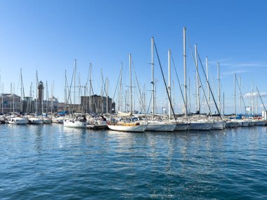 Trieste, İtalya - 14 Ekim 2025: Yelkenliler açık mavi gökyüzünün altındaki canlı bir marinaya demirlediler.