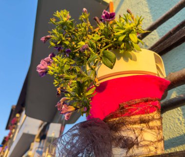 Pembe kumaşlı, güneşli balkonda canlı mor çiçekler..