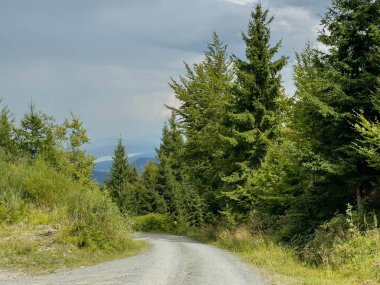 Bereketli yeşillik ve dağ manzarası ile bulutlu gökyüzünün altındaki sakin orman yolu.
