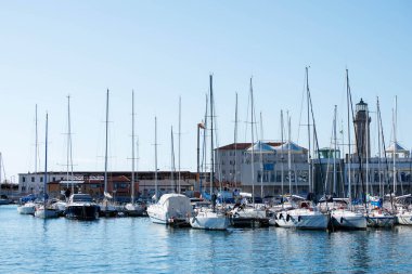 Trieste, İtalya - 14 Ekim 2025: Birçok yelkenli ve yatın bulunduğu liman sahnesi, parlak mavi gökyüzü altında sakin sulara yansıyor.