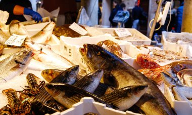 Venedik, İtalya - 05 Aralık 2025: Canlı bir atmosferde canlılık ve çeşitliliği vurgulayan çeşitli balık ve kabuklu deniz ürünleri içeren canlı deniz ürünleri pazarı