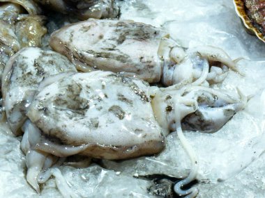 Deniz ürünleri pazarında buz üstünde taze mürekkep balığı..