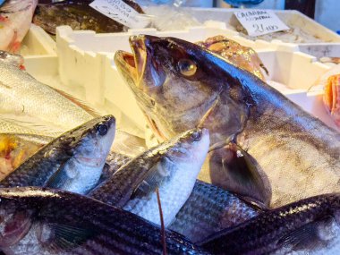 Buzlu arka planlı market tezgahında taze balık görüntüsü.