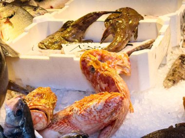 Pazarda buzda sergilenen taze balıklar..