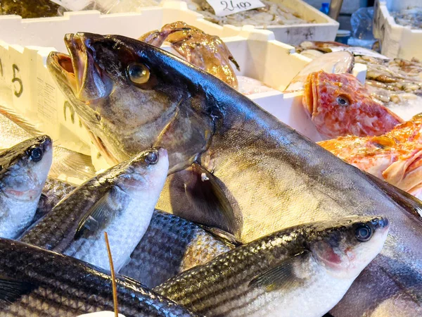 Meşgul deniz ürünleri pazarında buzda taze balık çeşitliliği.