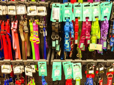 Zagreb, Hırvatistan - 16 Aralık 2025: Canlı evcil hayvan tasmaları tahta üzerinde, hayvan sahiplerine seçmeleri için çeşitli stil ve renkler sunuluyor