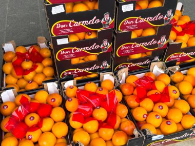 Ponte Nelle Alpi, İtalya - 27 Ocak 2026: Don Carmelo adında kırmızı kurdeleli taze portakallar canlı renkler sergiliyor.