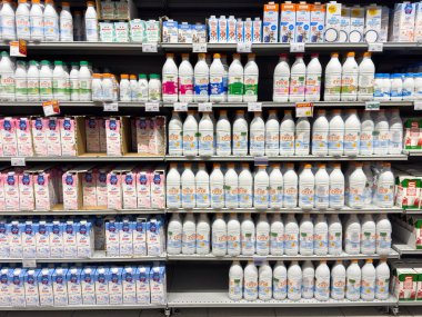 Venedik, İtalya - 14 Şubat 2026: Açık etiketli ve organizasyonlu bir market koridorunda raflarda çeşitli süt kutuları ve süt ürünleri sergileniyor