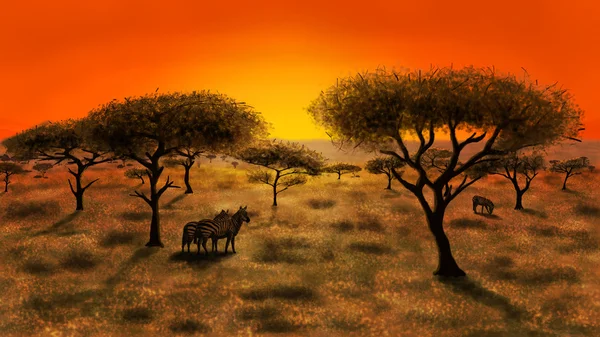 Savannah, gün batımı