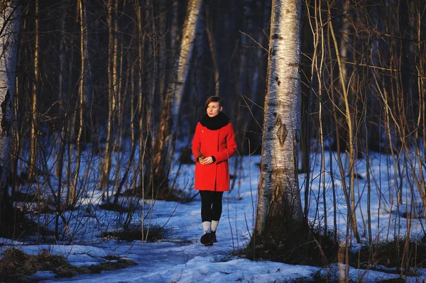 Retrato de primavera temprana de linda chica joven atractiva seria con bufanda de calor de pelo oscuro y chaqueta roja mirando al sol y caminando por el bosque con una ramita en las manos. Exterior — Foto de Stock