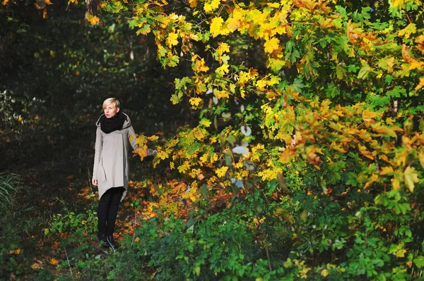 Chica rubia camina en el parque de otoño y toca las manos con hojas amarillas árboles — Foto de Stock