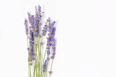 Beyaz masa arkasına yerleştirilmiş mor eflatun çiçekleri. Üst görünüm, düz yatış modeli, kopyalama alanı. Minimum arka plan konsepti. Kuru çiçek kompozisyonu beyaza izole edilmiş..