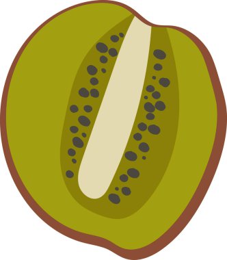 Dilimlenmiş kivi. Düz ve kalın tohumlu. Meyvelerin içi pürüzsüz bir doku ve net detaylarla betimlenir. Çizgi film vektör illüstrasyonu.