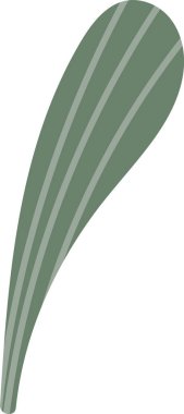 Uzun gözyaşı damlası biçimli yaprak bıçağı ve ince damarlı ince çizgi film stili. Doğanın, büyümenin, tazeliğin ve refahın ekolojik temasının sembolü. Çizgi film vektör illüstrasyonu.