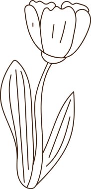 Saplı ve uzun yapraklı lale. Temiz hatlarla çizilmiş. İlkbaharın, büyümenin ve çiçeklerin markalaşma ve selamlama temalarının sembolü. Çizgi film vektör illüstrasyonu.