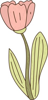 Eğri saplı lale çiçeği ve ince desenli temiz hatlarla çizilmiş iki uzun yaprak. Baharın, büyümenin, romantizmin ve doğa güzelliğinin sembolü. Çizgi film vektör illüstrasyonu.