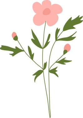 Tek çiçekli çiçek sapı, iki tomurcuk ve pürüzsüz yapraklar, temiz şekilli ve kalın hatlı. Romantizmin, büyümenin ve tabiatın düğün ve bahar için saflığının sembolü. Çizgi film vektör illüstrasyonu.