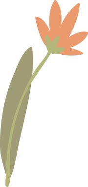 İnce bir gövde üzerinde uzun taç yaprakları ve temiz bir çizgi filmde tek bir uzun yaprak olan bir çiçek. Büyümenin, doğanın, saflığın ve markalaşma ve sükunetin sembolü. Çizgi film vektör illüstrasyonu.