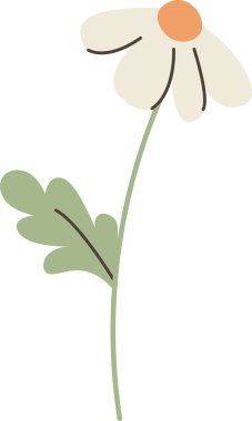 Kavisli saplı papatya çiçeği, tek yaprak, ve temiz çizgilerde yumuşak damlacık yaprakları. Baharın, saflığın ve sakin doğanın sembolü, sağlık ve karşılama temaları için mükemmel. Çizgi film vektör illüstrasyonu.