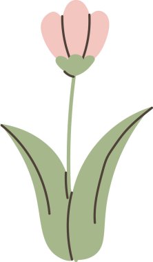 Geniş yapraklı ve hatları temiz lale çiçekleri. Baharın, büyümenin, yenilenmenin ve doğanın saflığının sembolü. Çizgi film vektör illüstrasyonu.