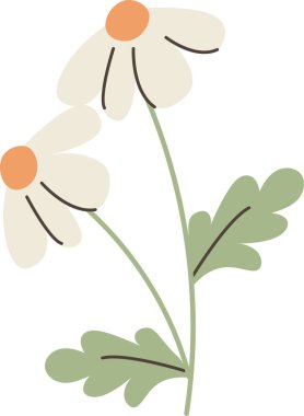 Yuvarlak merkezli papatya çifti, kıvrımlı yapraklar, ve temiz çizgi film çizimlerinde yapraklı kökler. Baharın, tazeliğin, sakinliğin, doğanın ve saflığın sembolü. Çizgi film vektör illüstrasyonu.