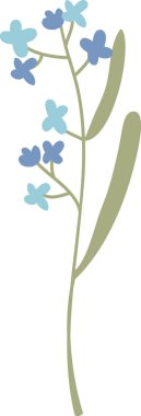 Yaban çiçeği sapı, küçük beş yapraklı çiçek ve uzun yapraklı, temiz bir siluet. Doğanın sembolü, saflık ve botanik markalaşma ve dekor için büyüme. Çizgi film vektör illüstrasyonu.