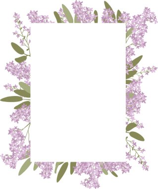 Yapraklı leylak çiçeği dalları cömert kopya alanı olan dikdörtgen bir çiçek sınırı oluşturur. Bahar, romantizm, davetiye ve düğün kırtasiyesinin sembolü. Çizgi film vektör illüstrasyonu.