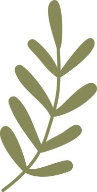 Yuvarlak broşürlü, temiz siluet şekilli Mimosa dalı, pürüzsüz hatları olan tek bir dal. Doğanın sembolü, büyüme, saflık ve dekorasyon için botanik zarafet. Çizgi film vektör illüstrasyonu.