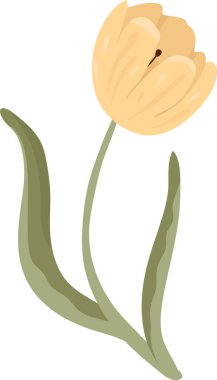 İki uzun yaprağı ve yumuşak taç yaprağı gölgesi, temiz şekilleri ve pürüzsüz çizgileri olan kavisli bir lale. Baharın, büyümenin, zarafetin ve doğa güzelliğinin sembolü. Çizgi film vektör illüstrasyonu.
