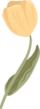 Uzun bir yaprak, yumuşak gölgeler ve temiz şekilli kavisli bir yaprak üzerinde lale tomurcuğu. Bahar, büyüme, zarafet ve karşılama, düğün ve bahçe temalarının sembolü. Çizgi film vektör illüstrasyonu.