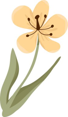 Çiçek sapı beş yaprak tomurcuğu ve görünür erkeklik organları, çift yapraklar ve yumuşak gölgelendirme. Büyümenin, doğanın, güzelliğin ve markalaşmanın sembolü. Çizgi film vektör illüstrasyonu.
