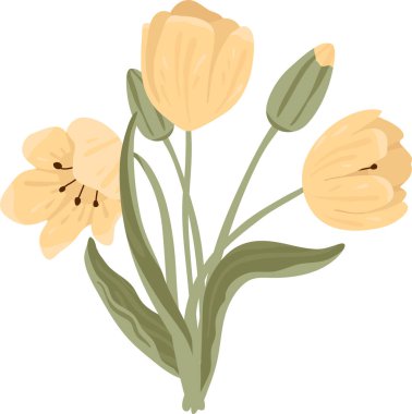 Üç çiçekli lale buketi, bir tomurcuk ve yumuşak şekilli kıvrımlı yapraklar ve temiz çizgiler. Bahar, romantizm, yenilenme ve karşılama için zarafet, düğün sembolü. Çizgi film vektör illüstrasyonu.