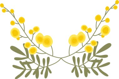 Mimosa filiz çelengi, yuvarlak çiçek demetleri ve eğreltiotu yaprakları ile temiz bir çizgi film görünümünde. Baharın sembolü, kadınlık, kutlama ve selamlama için minnettarlık. Çizgi film vektör illüstrasyonu.