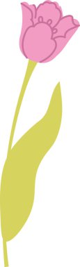 Uzun saplı, tek yapraklı, temiz hatlı ve negatif alanlı lale çiçeği. Bahar, sevgi, büyüme ve markalaşma için zarafet sembolü. Çizgi film vektör illüstrasyonu.