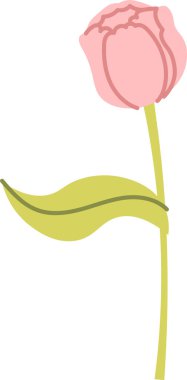 Tek kavisli yaprağı olan uzun bir sapı olan lale tomurcuğu, temiz hatları ve yumuşak şekilleri olan. Bahar, aşk ve tebrik kartları ve düğün temaları için yenilenmenin sembolü. Çizgi film vektör illüstrasyonu.