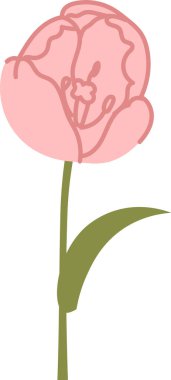 Lale çiçeği tek yapraklı ve hatları pürüzsüz. Bahar, aşk ve kutlama, düğün ve botanik temalar için zarafet sembolü. Çizgi film vektör illüstrasyonu.