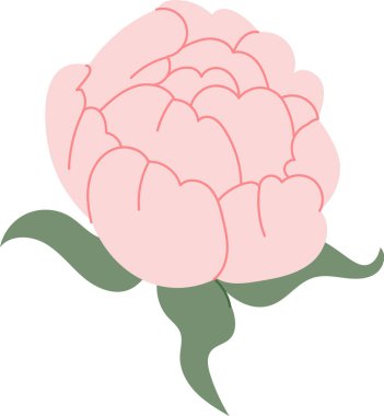 Katmanlı yaprak ve kıvrımlı yaprak, temiz çizgiler ve yumuşak şekillerle çiçeklenmiş şakayık çiçekleri. Romantizmin, bolluğun, düğün zarafetinin ve doğa güzelliğinin sembolü. Çizgi film vektör illüstrasyonu.