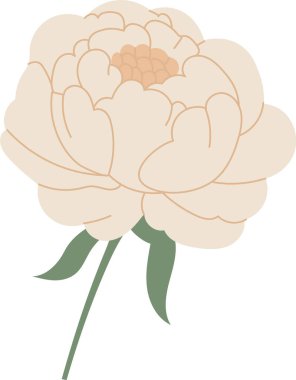 Katmanlı yaprak çiçekli şakayık çiçekleri ve yapraklı tek bir çiçek. Romantizm sembolü, zarafet, düğün güzelliği ve markalaşma büyümesi. Çizgi film vektör illüstrasyonu.