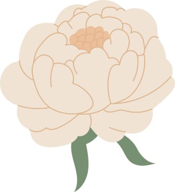 Katmanlı yapraklı şakayık çiçekli baş, yumuşak dış görünüş ve küçük yaprak detayı. Romantizmin, güzelliğin ve düğün, selamlama ve markalaşma için zarafetin sembolü. Çizgi film vektör illüstrasyonu.