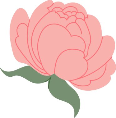 Katmanlı taç yaprağı ve kıvrımlı yaprak ile çiçeklenmiş şakayık çiçekleri, temiz hatlar ve yumuşak gölgeler. Romantizmin, zerafetin, refahın, düğün dekorunun ve güzelliğin sembolü. Çizgi film vektör illüstrasyonu.