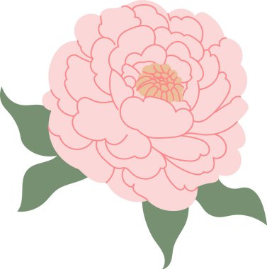 Temiz çizgi sanatında katmanlı taç yaprağı ve kıvrımlı yaprak ile şakayık çiçekleri. Romantizm, refah ve zarafet sembolü düğün, güzellik ve karşılama projeleri için. Çizgi film vektör illüstrasyonu.